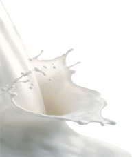 Milk PNG Images Download | Milk pictures Download | Milk PNG & Vector