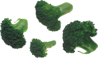 4 piece green broccoil free png download