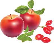 Apple clipart Png