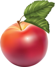 Apple drawn using photoshop png