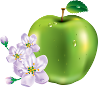 Apple icon with  Apple Flower Png