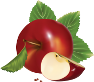 Apple icon with seeds