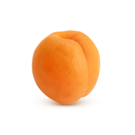 Apricot Icon Png