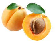 Apricot Png with Seed