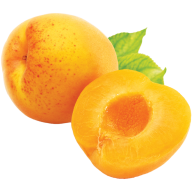 Apricot Png Without Seed