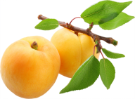 Apricot with Leaves Png