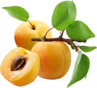 Apricot with seeds and Leaves Png