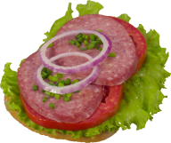 Burger Sandwich Free PNG Image Download 26