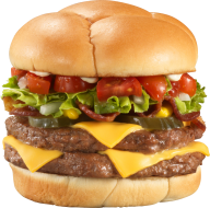Burger Sandwich Free PNG Image Download 51