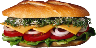 Burger Sandwich Free PNG Image Download 55