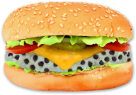 Burger Sandwich Free PNG Image Download 69