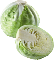 Cabbage PNG free Image Download 21