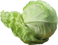 Cabbage PNG free Image Download 3