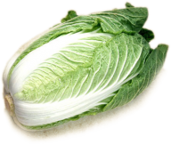 Cabbage PNG free Image Download 30