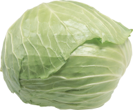 Cabbage PNG free Image Download 37