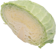 Cabbage PNG free Image Download 38