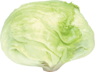 Cabbage PNG free Image Download 4