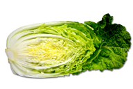 Cabbage PNG free Image Download 41