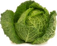 Cabbage PNG free Image Download 43