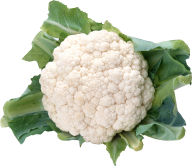 Cabbage PNG free Image Download 46