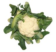 cauliflower PNG free Image Download 17
