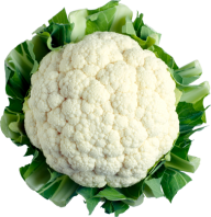 cauliflower PNG free Image Download 19