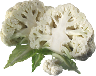 cauliflower PNG free Image Download 2