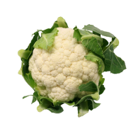 cauliflower PNG free Image Download 22