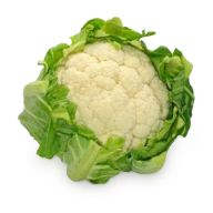 cauliflower PNG free Image Download 23