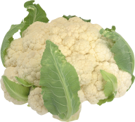 cauliflower PNG free Image Download 3