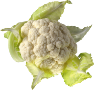 cauliflower PNG free Image Download 5