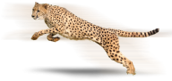 Cheetah Jaquar Logo Png