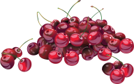 cherry png free download 32