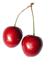 cherry png free download 34