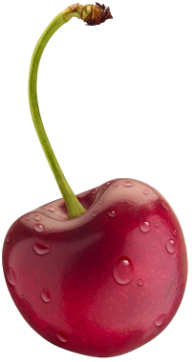 cherry png free download 36