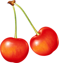 cherry png free download 7