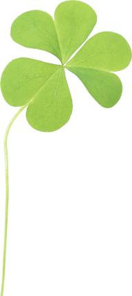 clover png free download 2