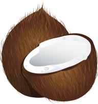 coconut png free download 18