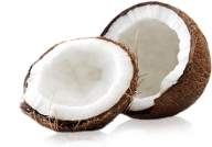 coconut png free download 23
