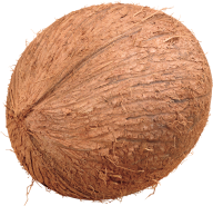 coconut png free download 7