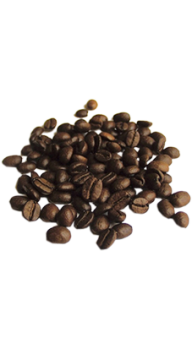 coffee beans png free download 28