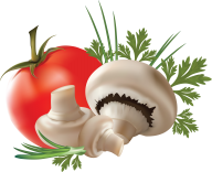 coking mushroom clipart free download png