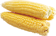 corn png free download 33