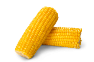 corn png free download 36