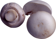 cutted mushroom free download png