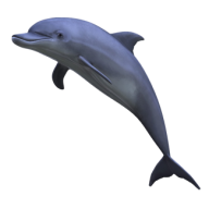 Dolphin Jumping PNG Image