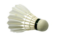 download badminton image