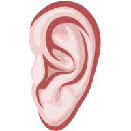 ear png free download 3