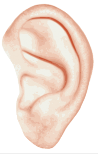 ear png free download 4
