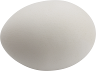 egg png free download 11
